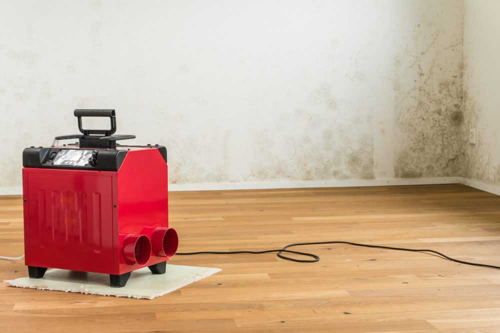 garage dehumidifier