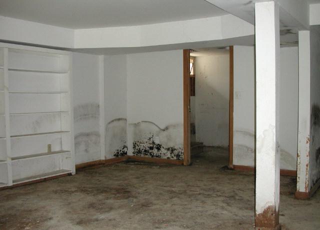 garage with moisture